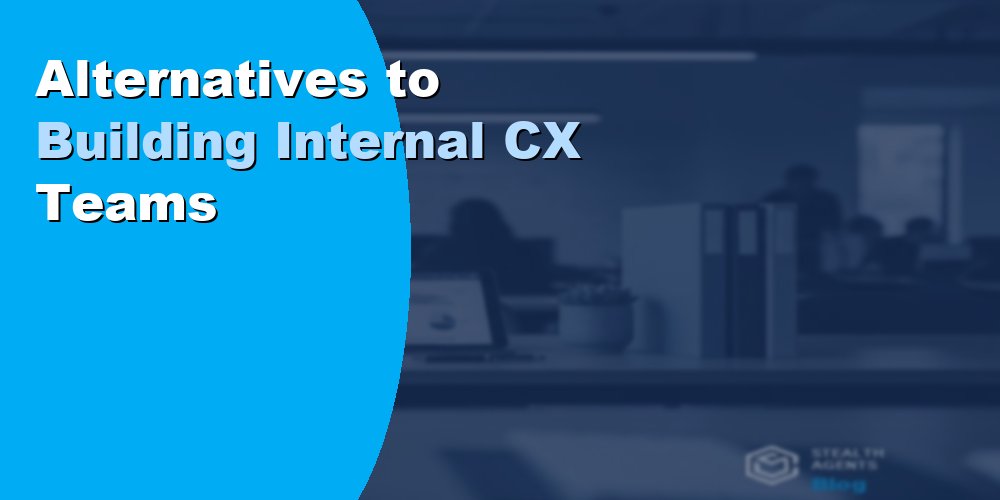 Alternatives to Building Internal CX Teams