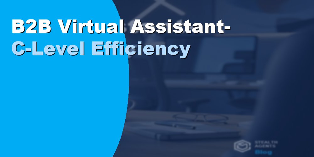 B2B Virtual Assistant- C-Level Efficiency