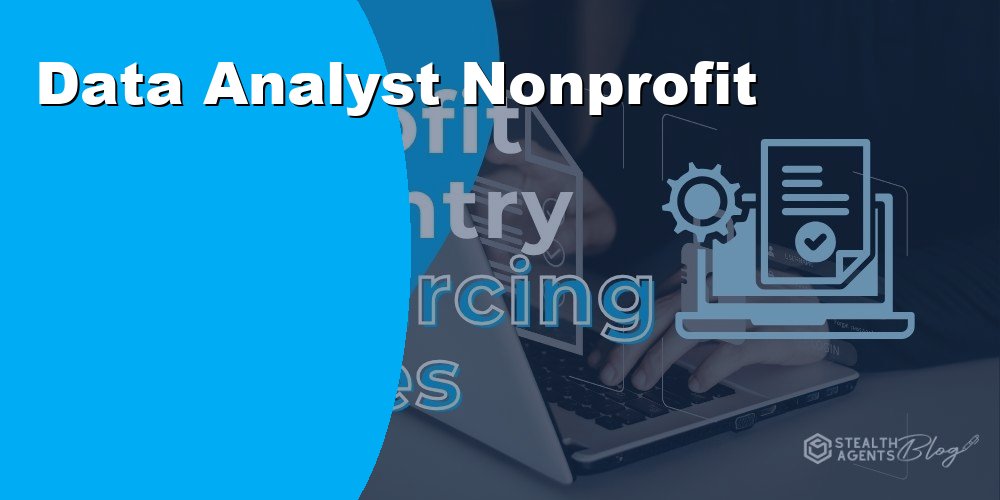Data Analyst Nonprofit