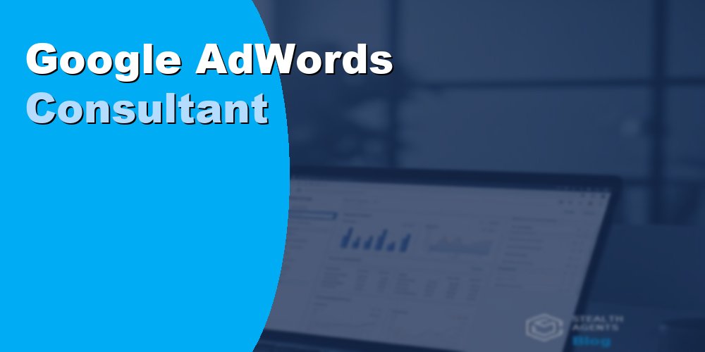 Hire a Google AdWords Consultant to Maximize Your Ad ROI