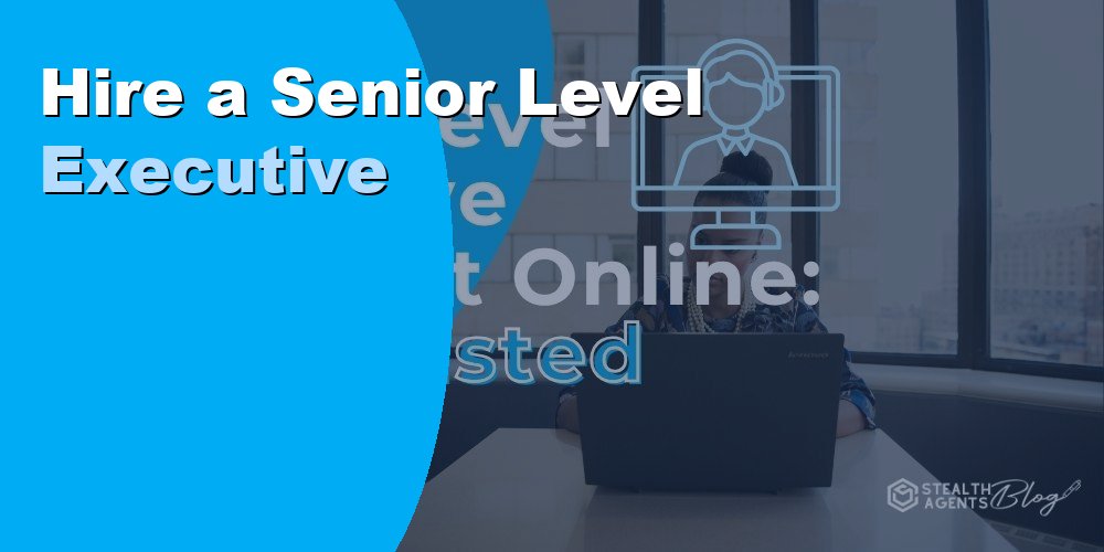 Hire a Senior Level Executive