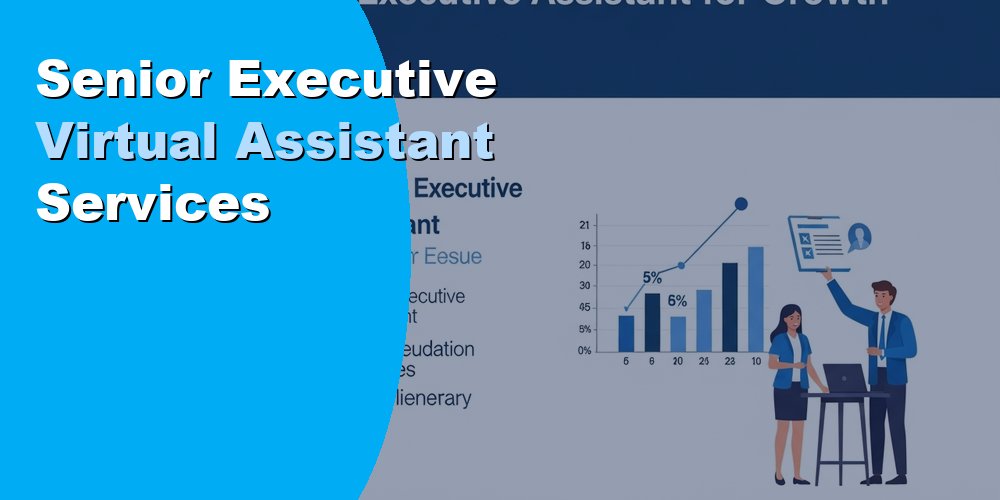 Senior Executive Virtual Assistant Services