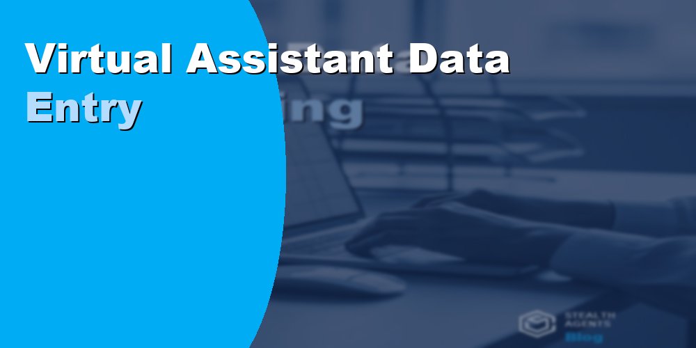 Virtual Assistant Data Entry for Consulting Firms