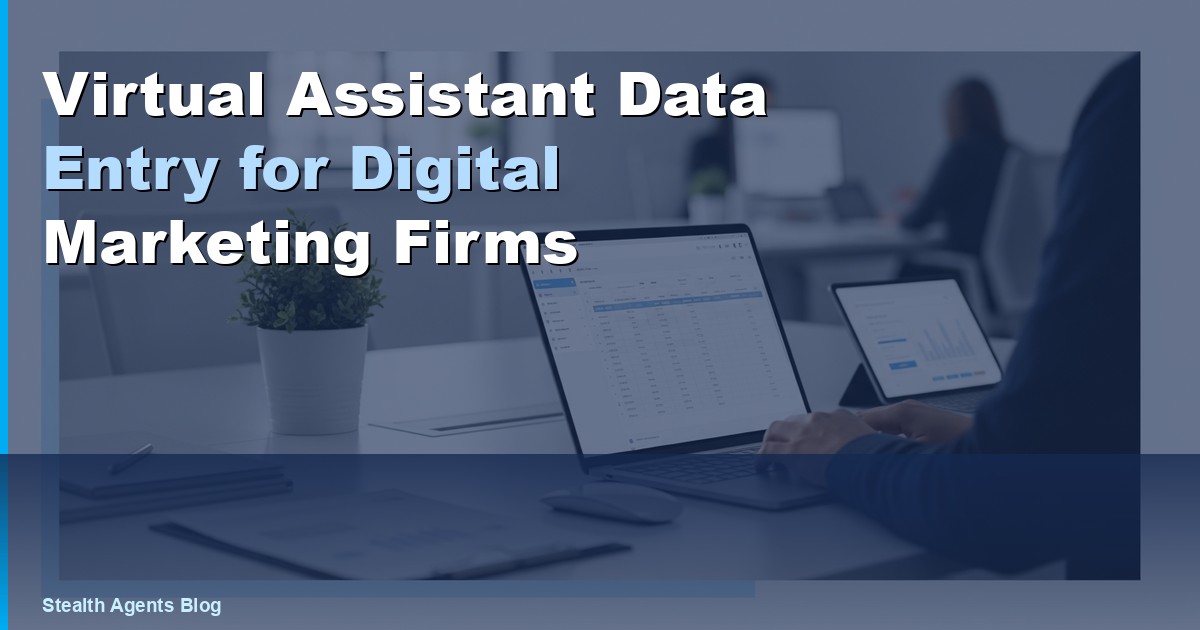 Virtual Assistant Data Entry for Digital Marketing Firms