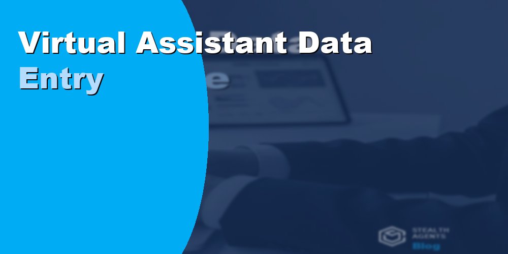 Virtual Assistant Data Entry for Software Development