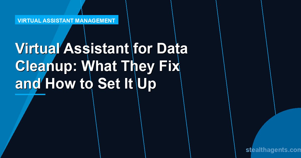 Virtual Assistant for Data Cleanup: What They Fix and How to Set It Up