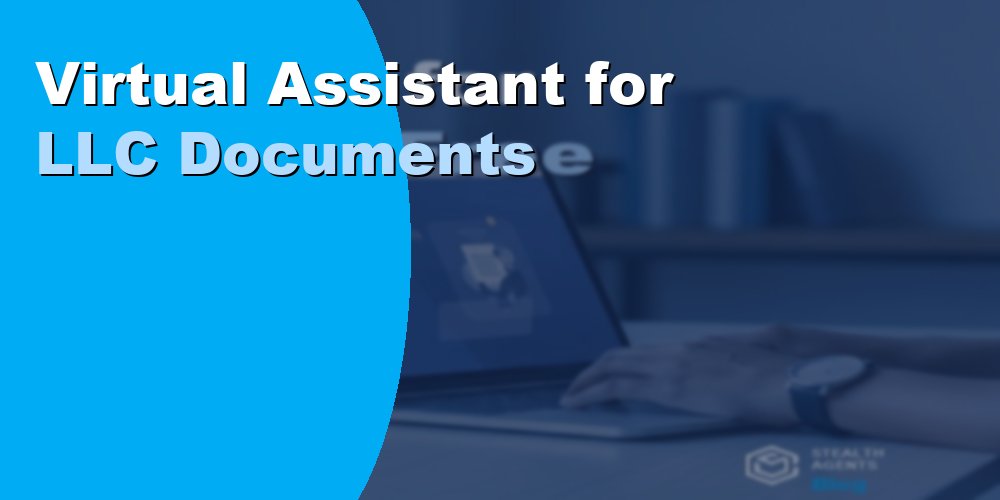 Virtual Assistant for LLC Documents