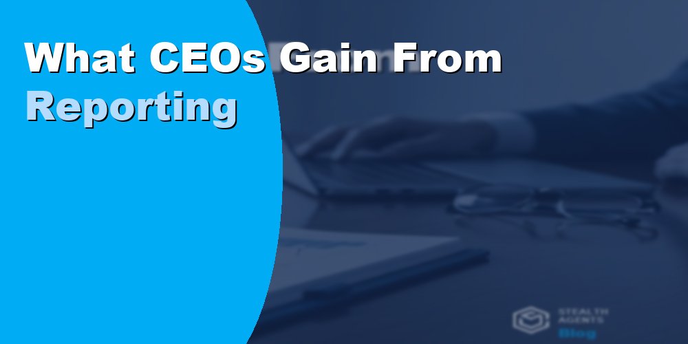 What CEOs Gain From Reporting and Documentation Support by a VA