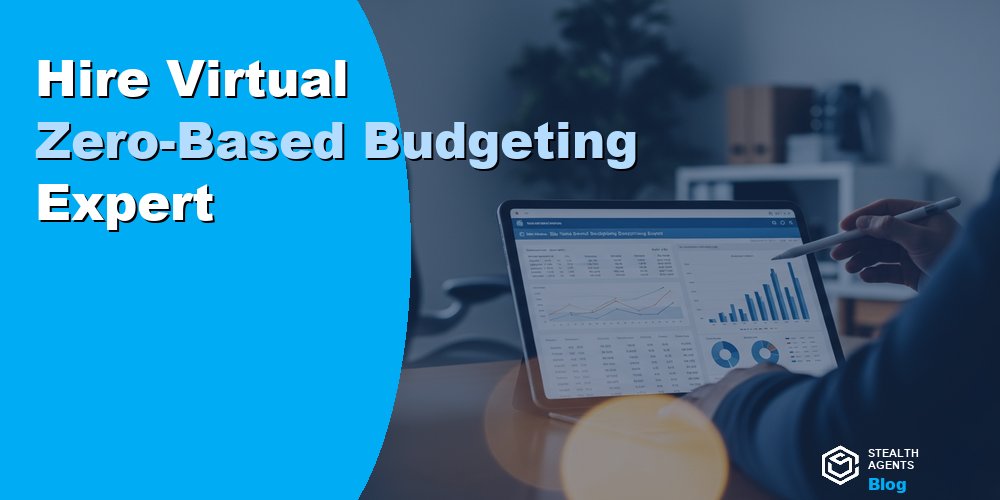Hire Virtual Zero-Based Budgeting Expert