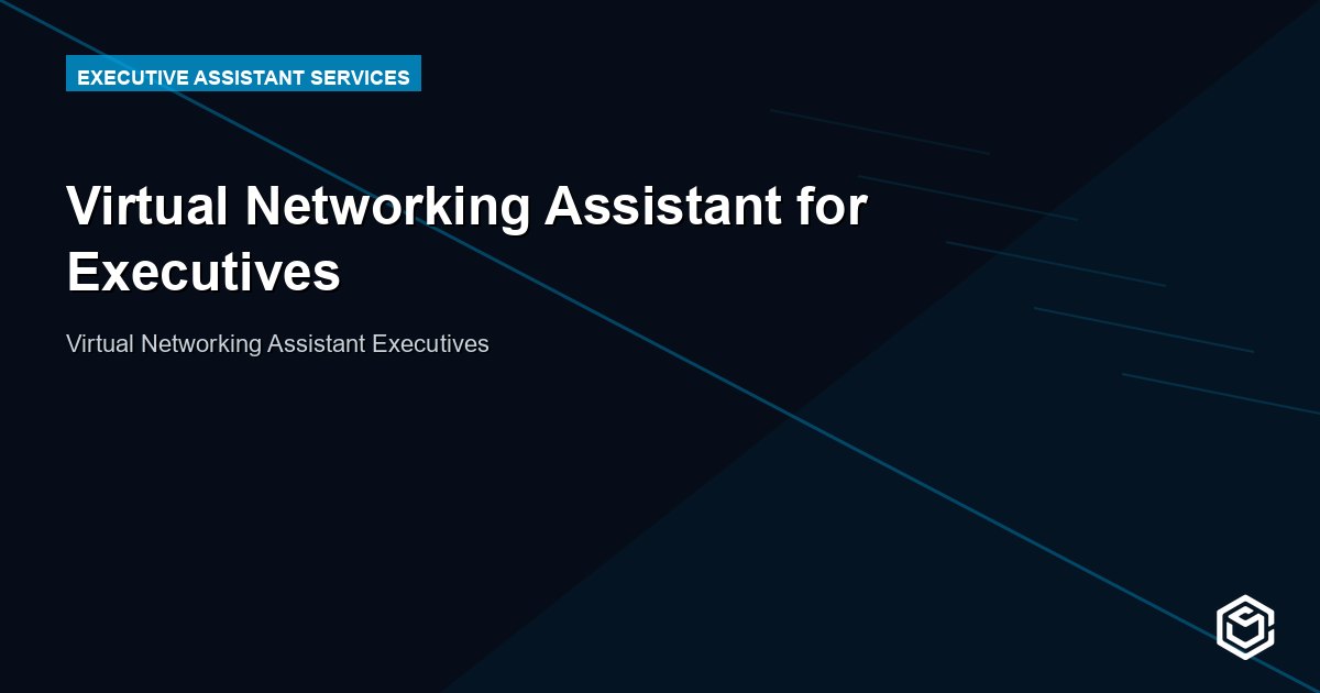 Virtual Networking Assistant for Executives