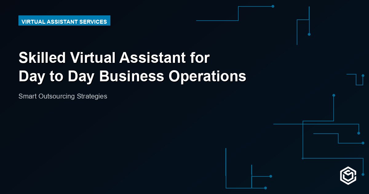 Skilled Virtual Assistant for Day to Day Business Operations