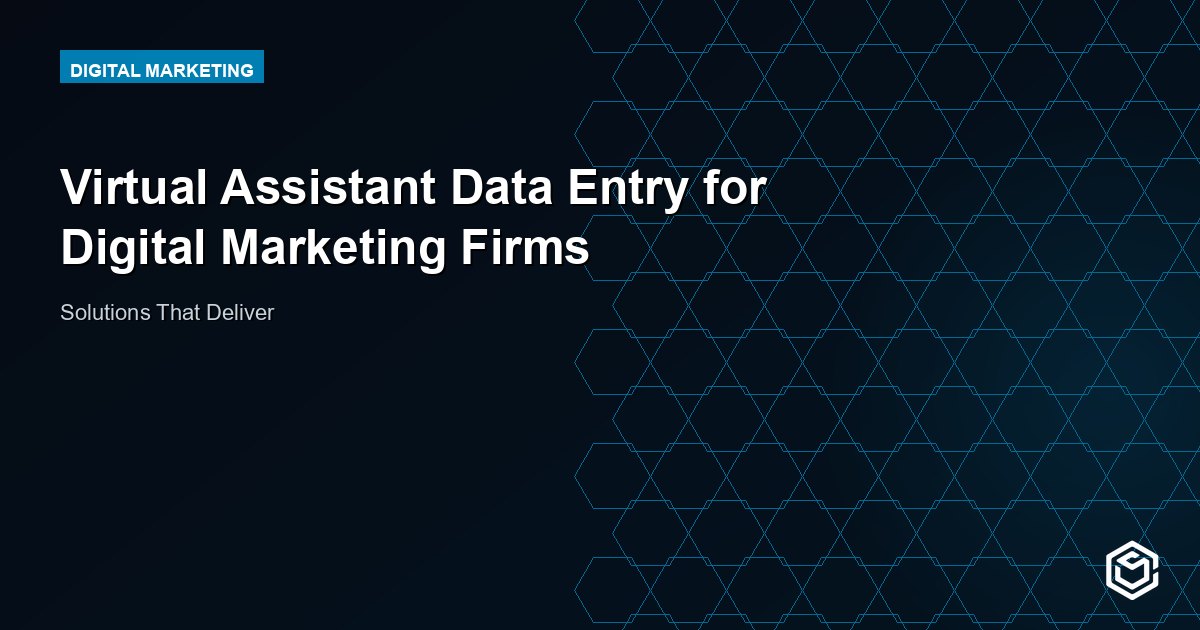 Virtual Assistant Data Entry for Digital Marketing Firms