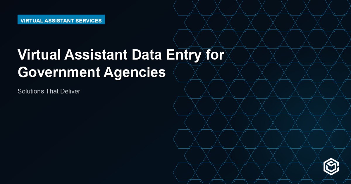Virtual Assistant Data Entry for Government Agencies