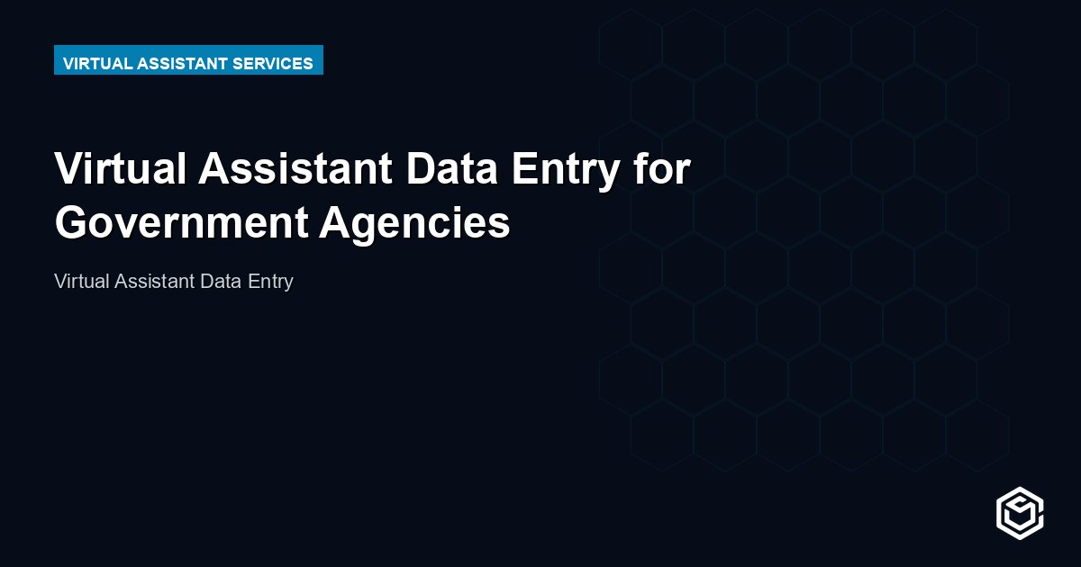 Virtual Assistant Data Entry for Government Agencies