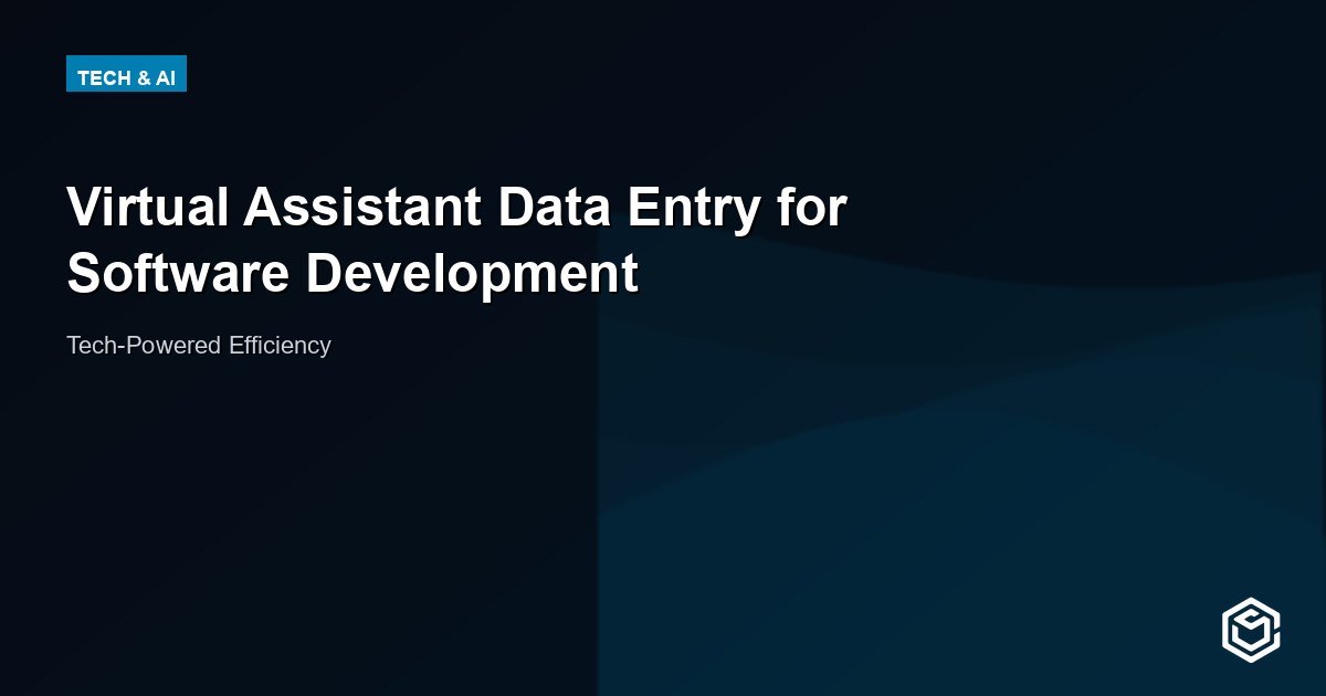 Virtual Assistant Data Entry for Software Development