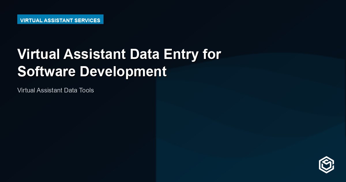 Virtual Assistant Data Entry for Software Development