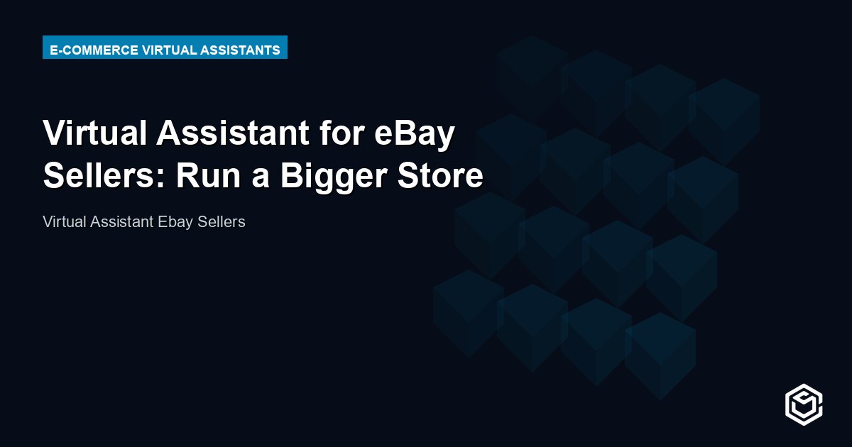 Virtual Assistant for eBay Sellers: Run a Bigger Store