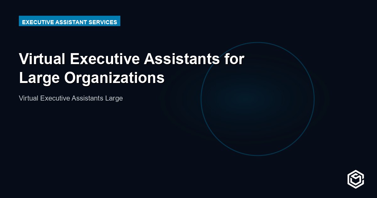 Virtual Executive Assistants for Large Organizations