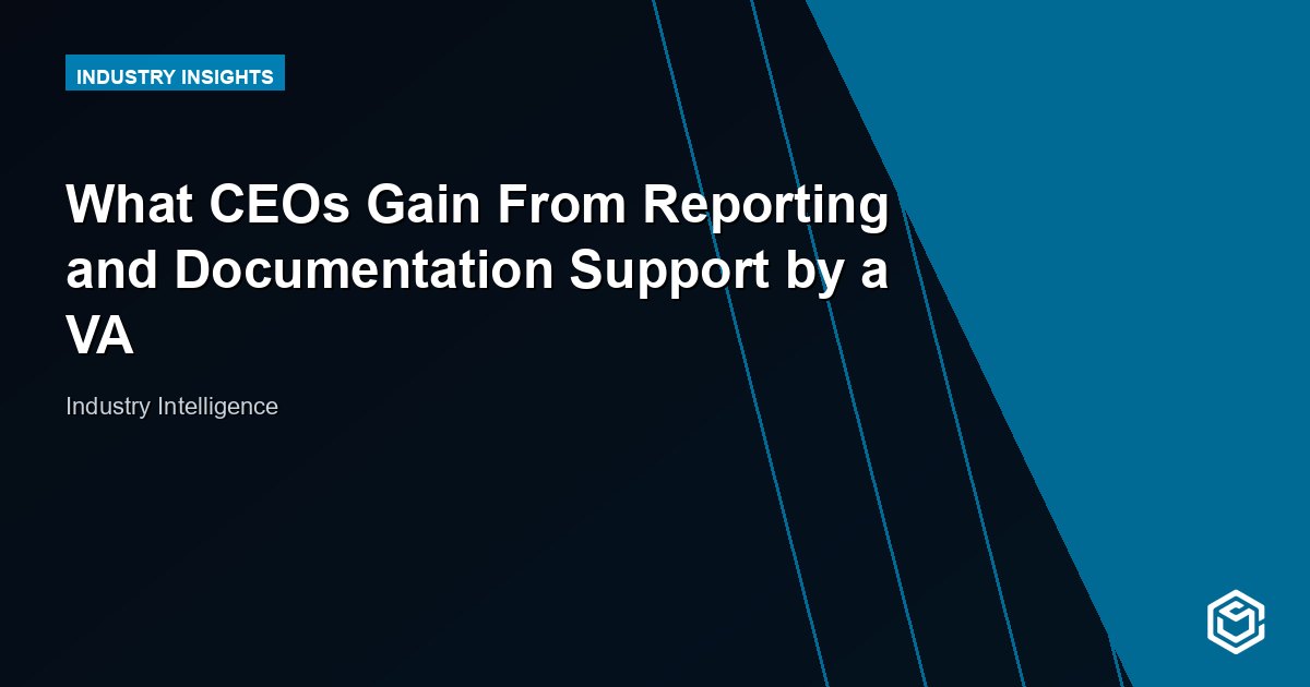 What CEOs Gain From Reporting and Documentation Support by a VA