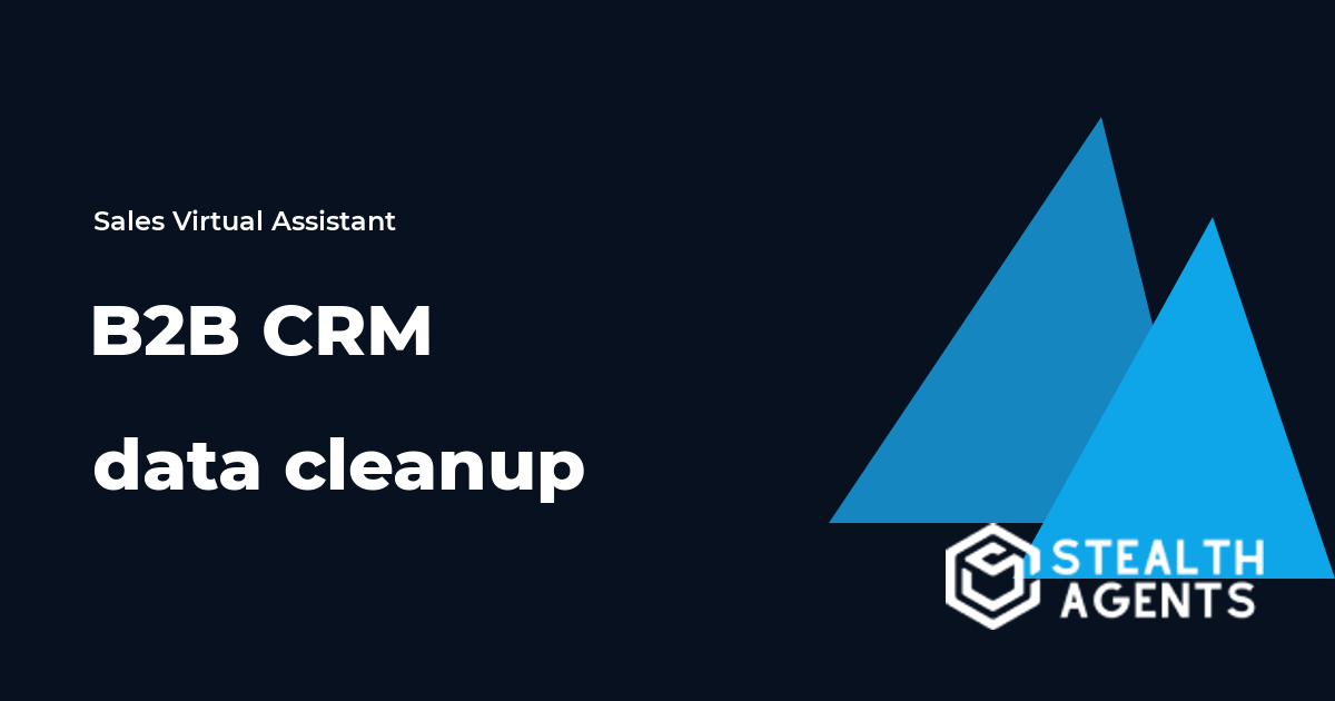 B2B CRM Data Cleanup Virtual Assistant Guide