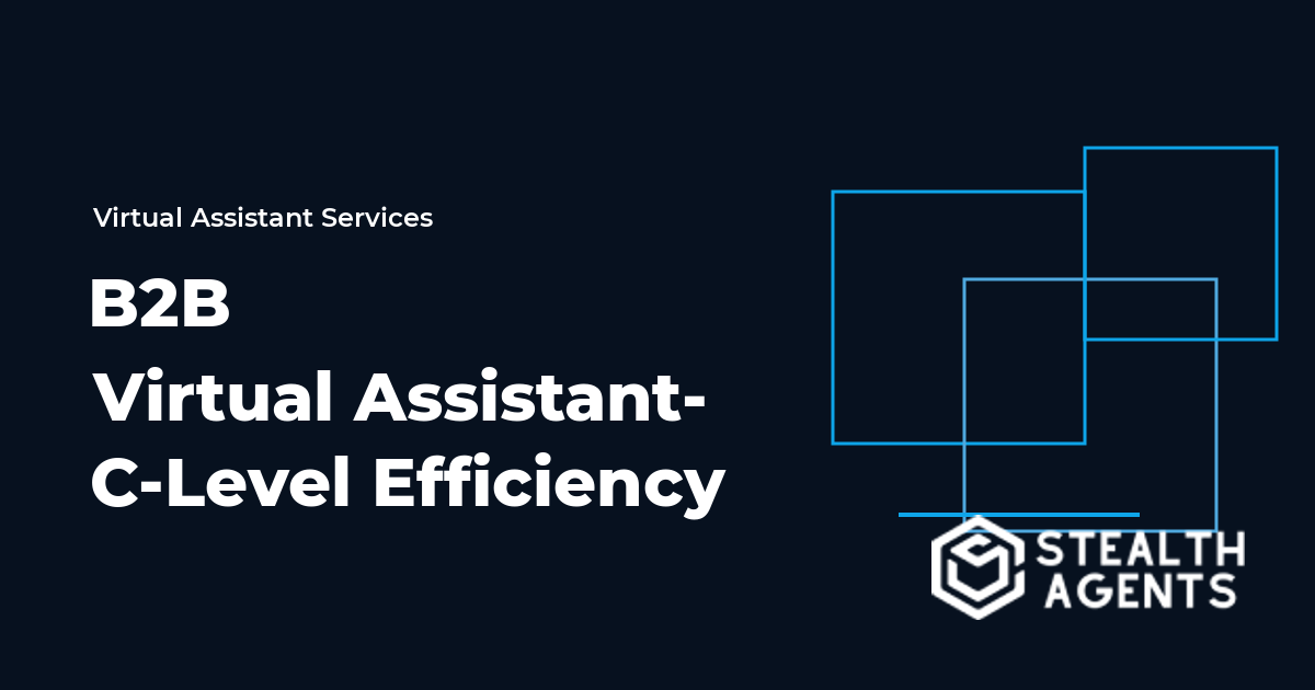 B2B Virtual Assistant- C-Level Efficiency