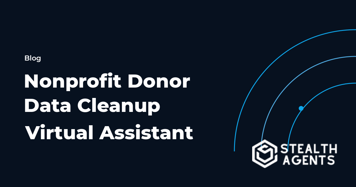 Nonprofit Donor Data Cleanup Virtual Assistant