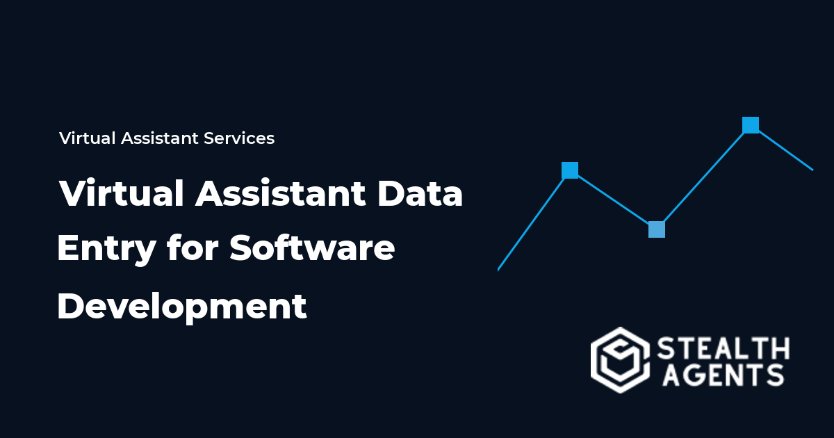 Virtual Assistant Data Entry for Software Development