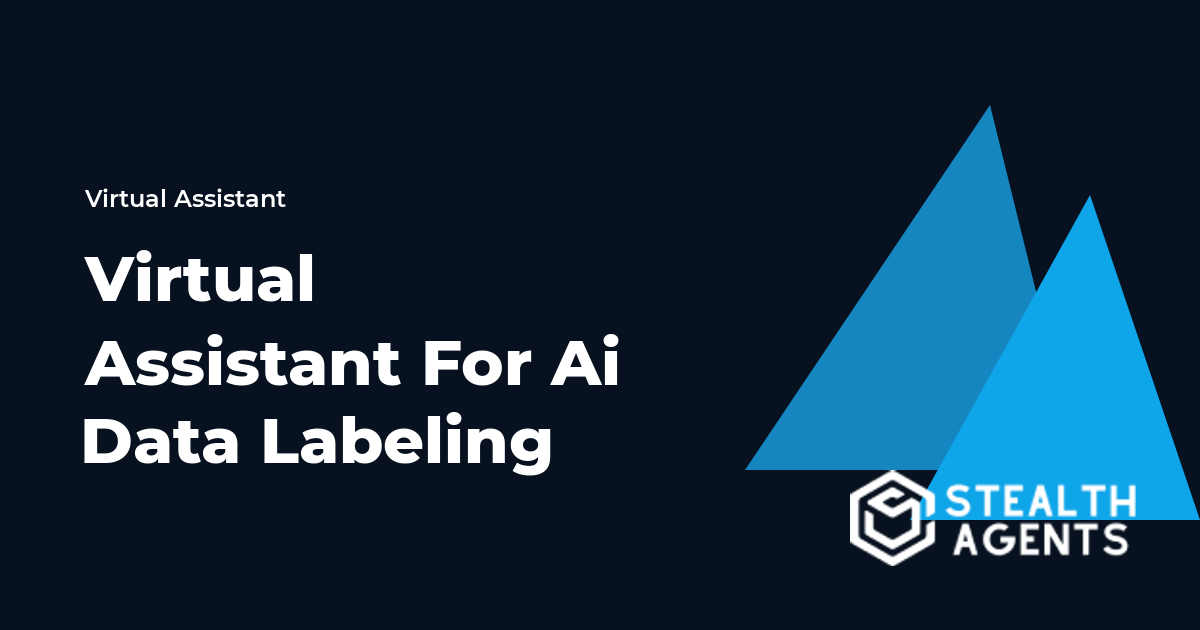 Virtual Assistant for AI Data Labeling