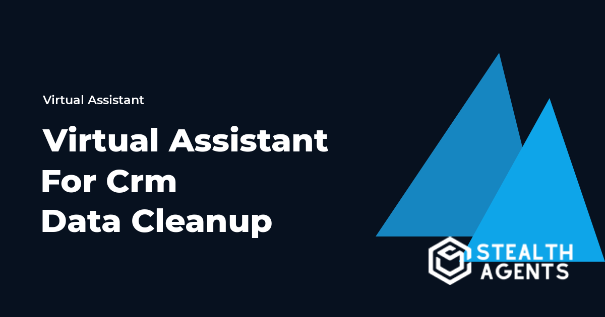 Virtual Assistant for CRM Data Cleanup