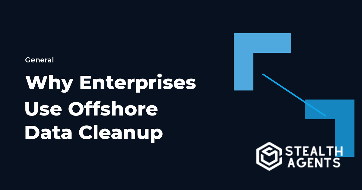 Why Enterprises Use Offshore Data Cleanup