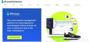 A screenshot of branddistribution website 