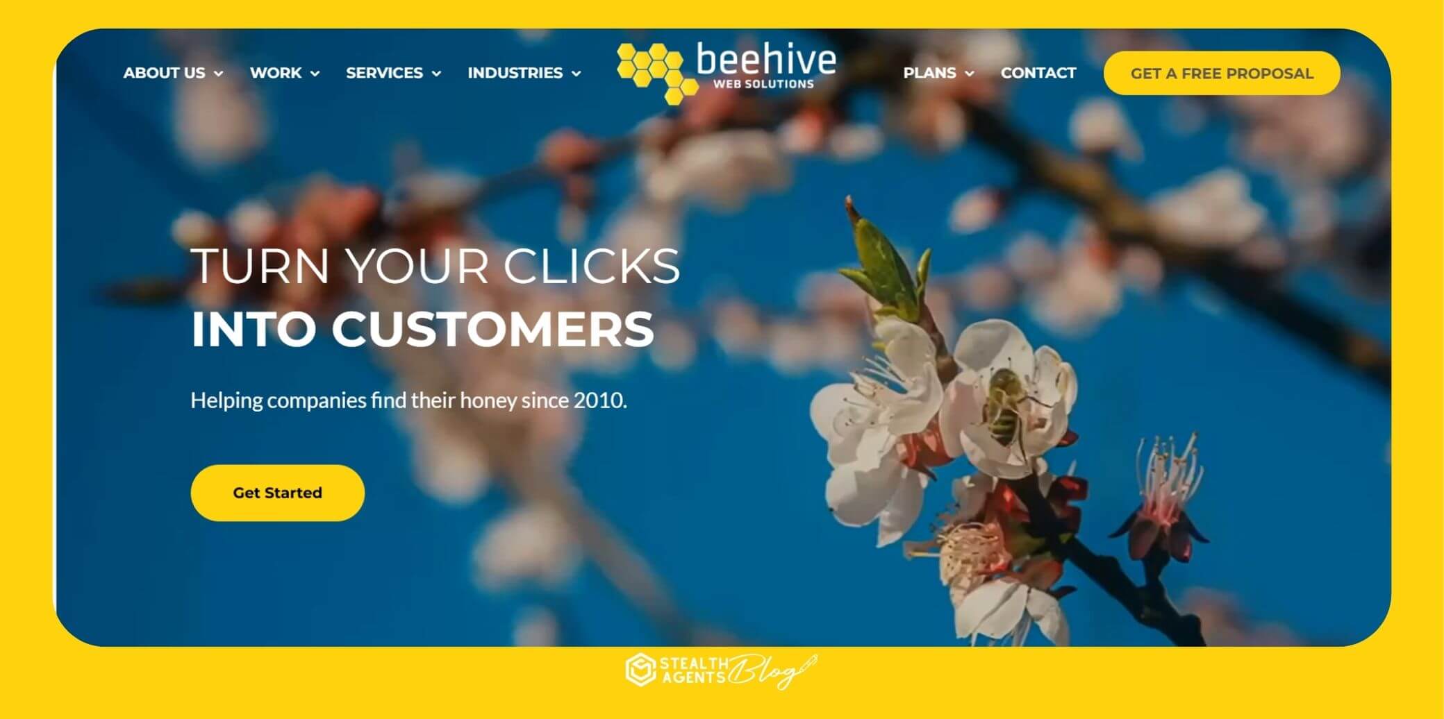 Beehive Web Solutions 