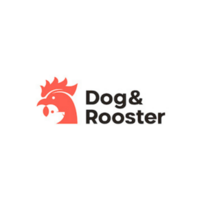 Best 10 website designer in san diego