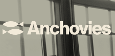 Anchovies best webiste designers in denver