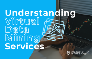 Understanding virtual data mining services