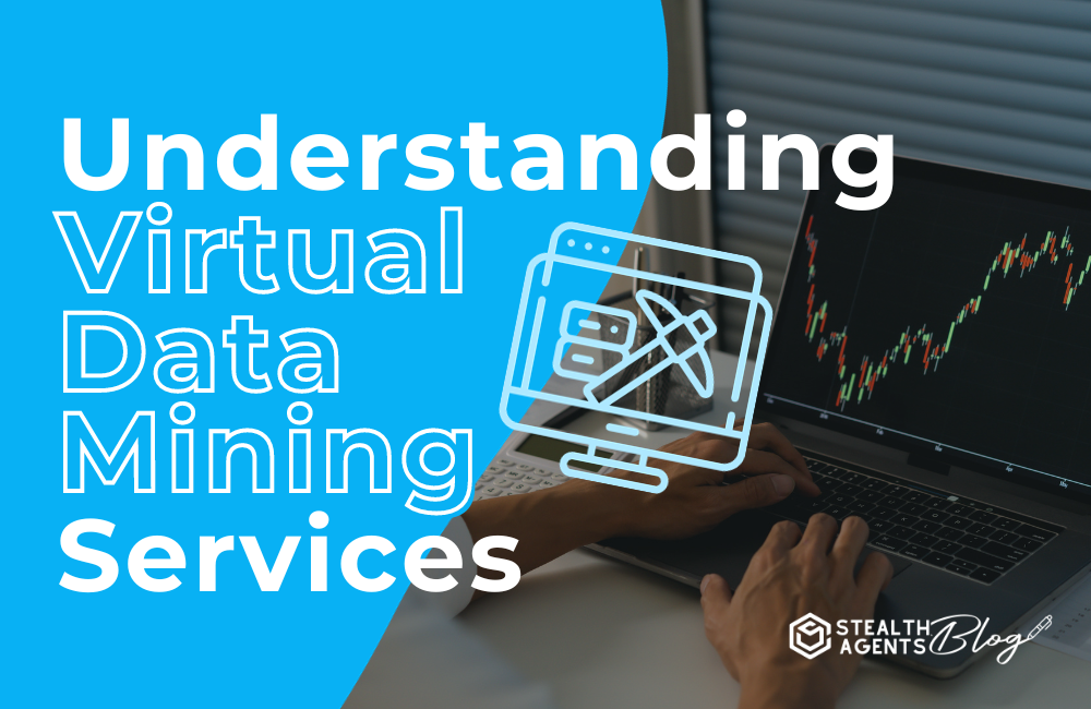 Understanding virtual data mining services