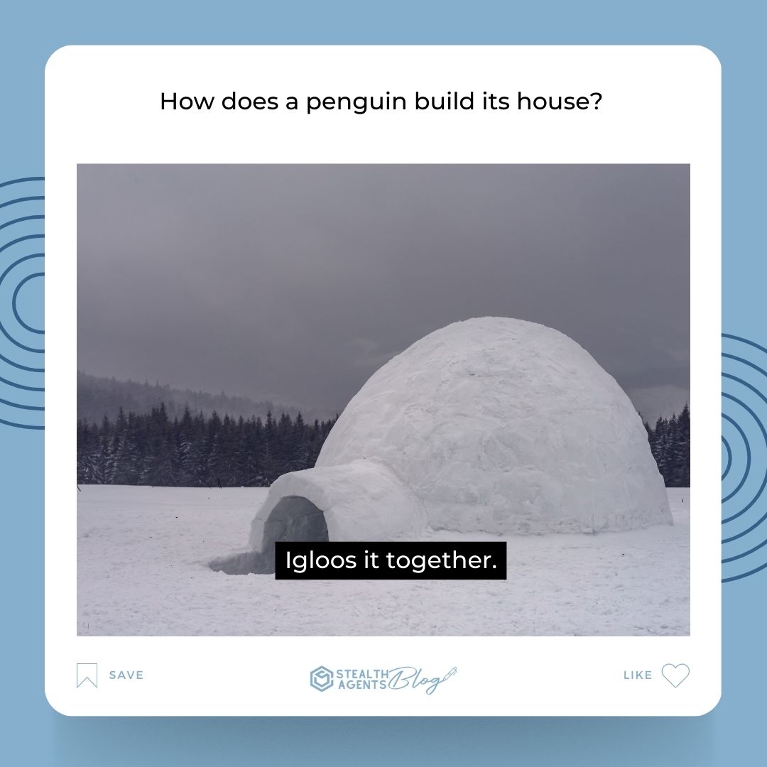 How does a penguin build its house? Igloos it together.