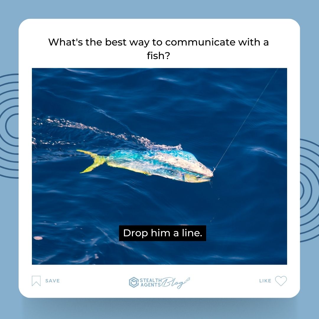 What's the best way to communicate with a fish? Drop him a line.