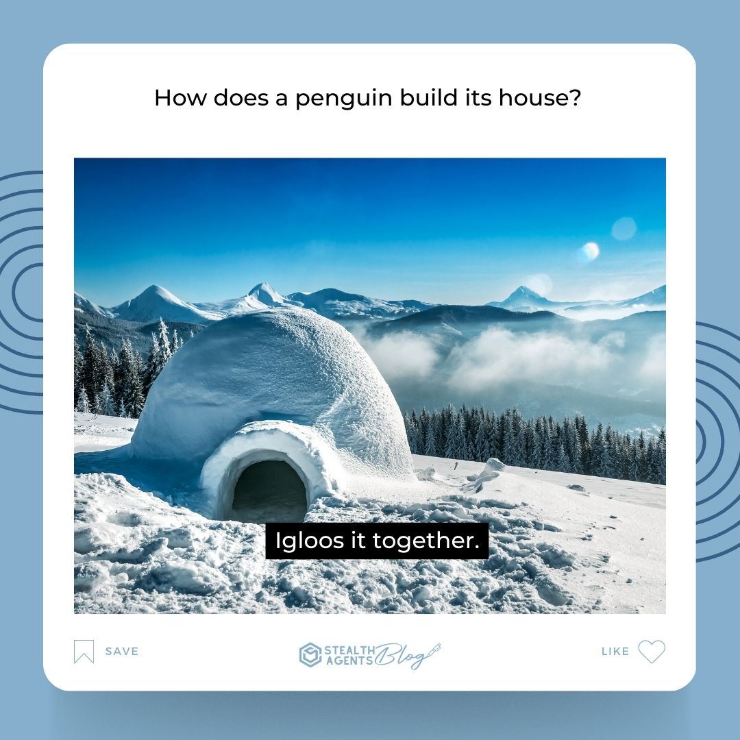 How does a penguin build its house? Igloos it together.