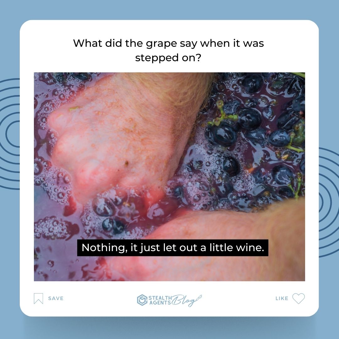 What did the grape say when it was stepped on? Nothing, it just let out a little wine.