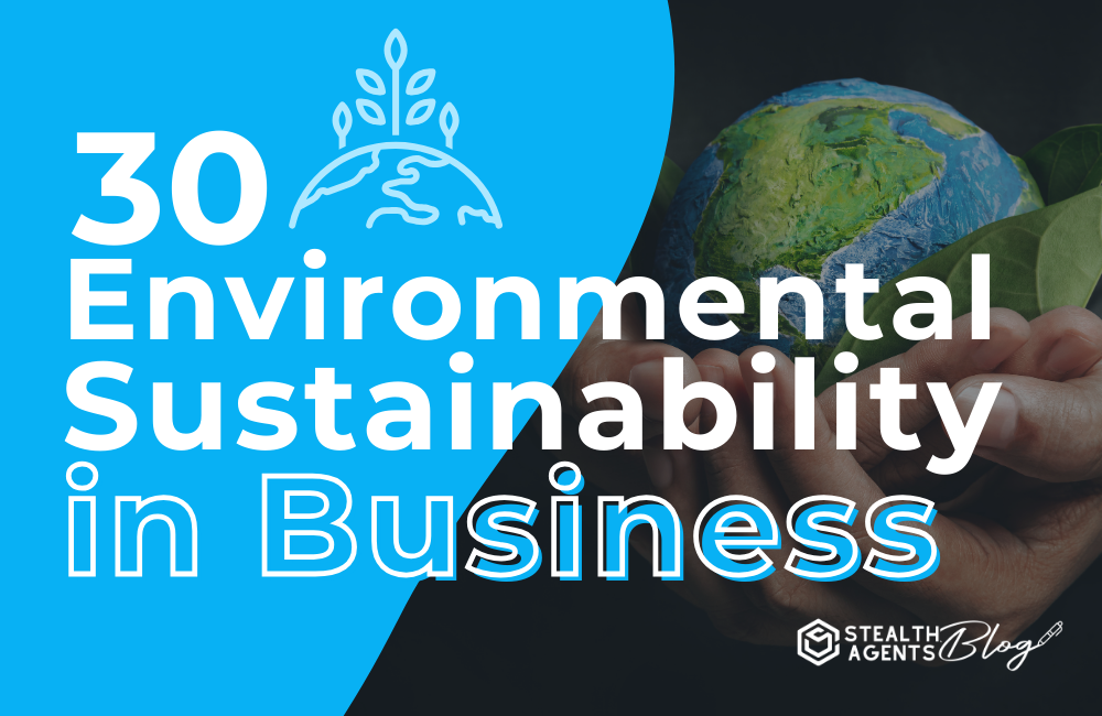 30 Environmental Sustainability in Business