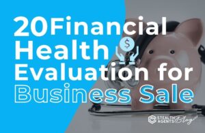 20 Financial Health Evaluation for Business Sale