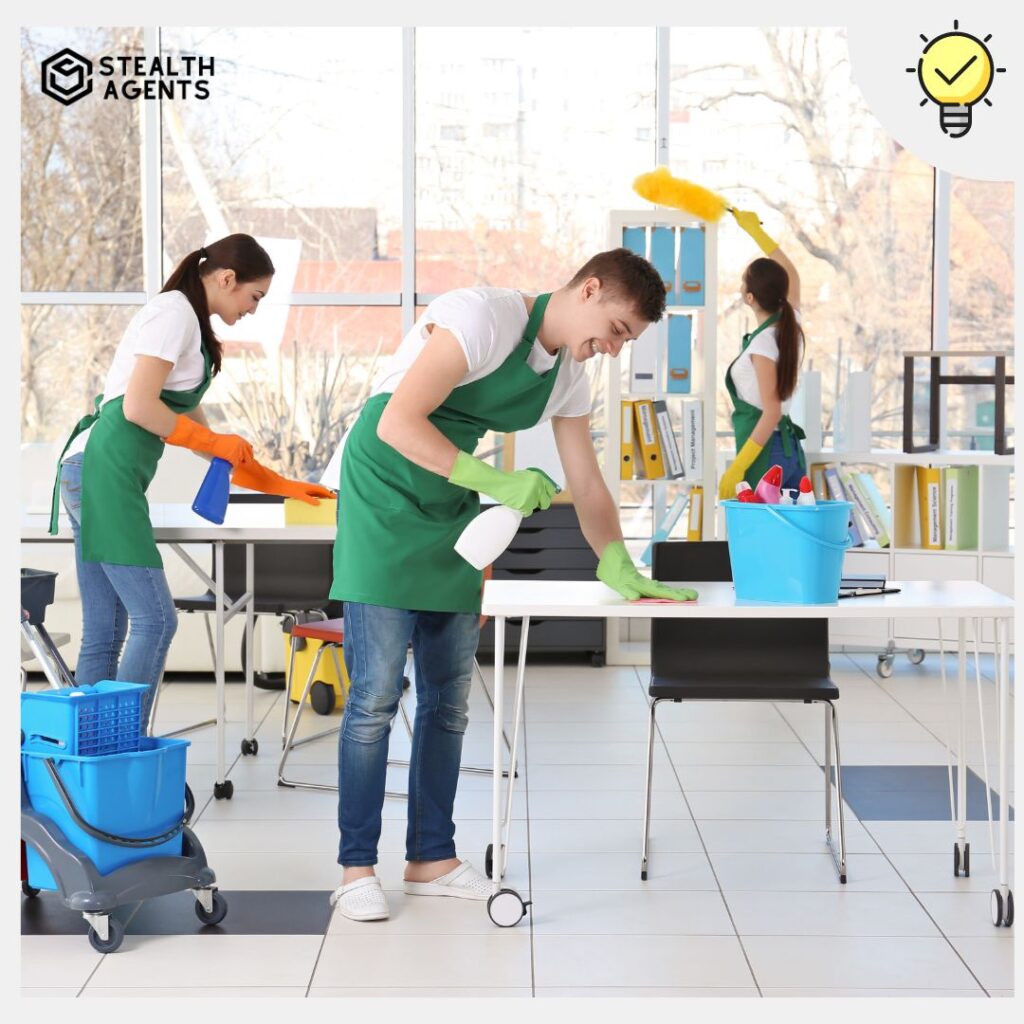 Green cleaning services  Offer cleaning services using only natural, non-toxic products.