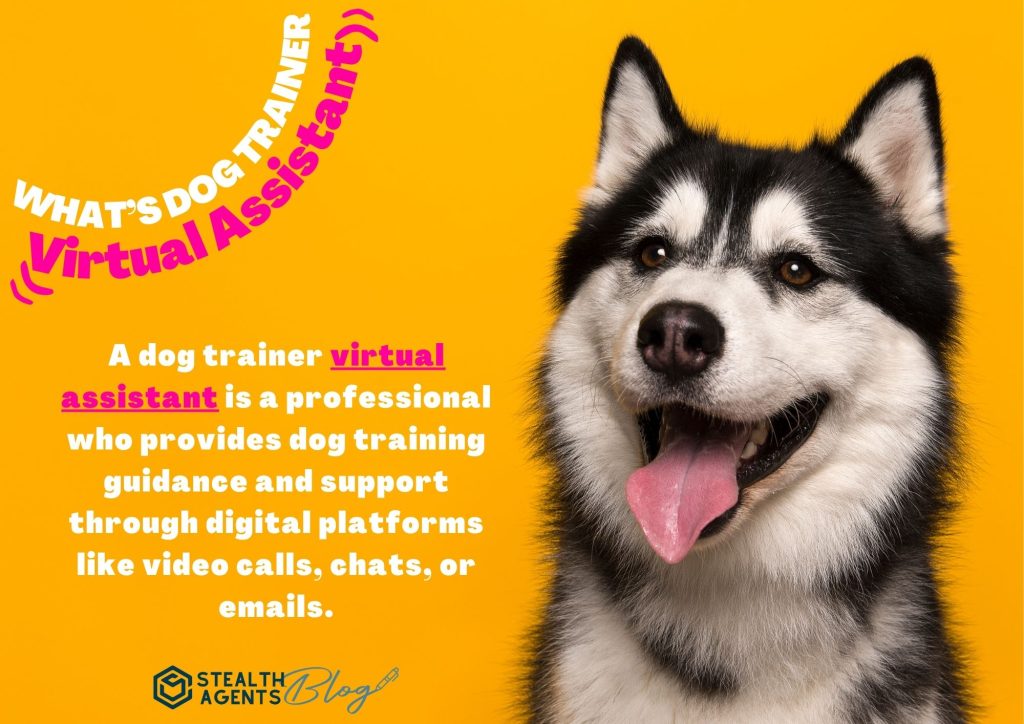 Dog Trainer Virtual Assistant