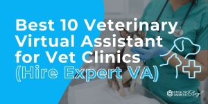 Best 10 Veterinary Virtual Assistant for Vet Clinics (Hire Expert VA)