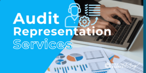 Audit Representation Services