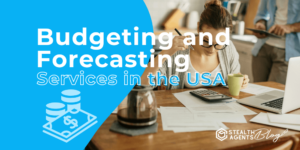 Budgeting and Forecasting Services in the USA