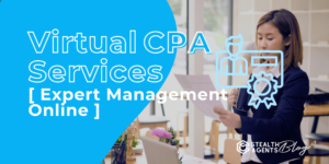 Virtual CPA Services