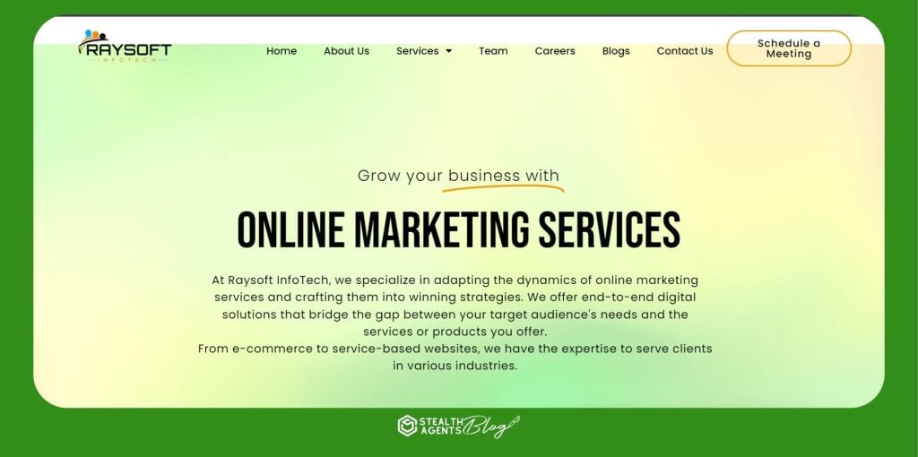 Raysoft Infotech Private Limited
