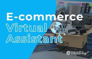 E-commerce Virtual Assistant